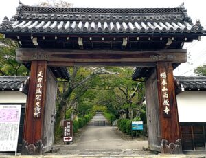 西教寺　明智光秀ゆかりの寺